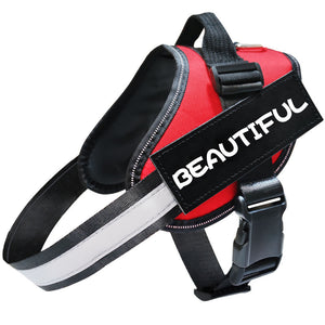 Reflecterende hondenriem, hondenriem, hondentuigje